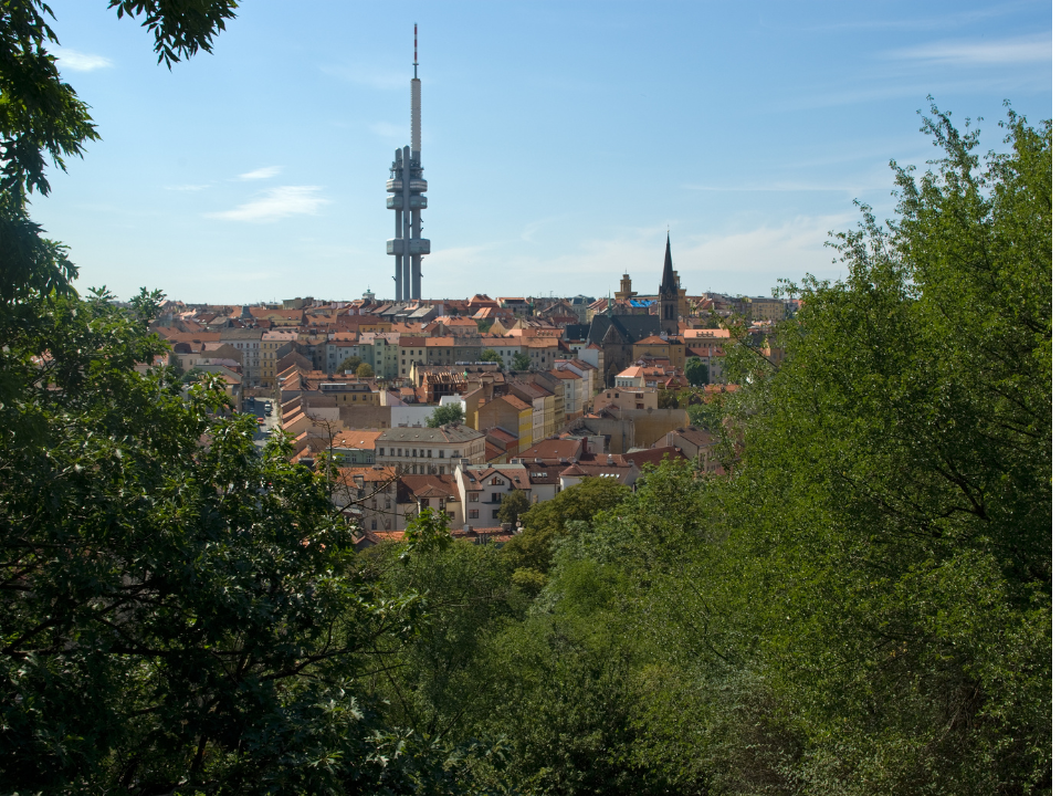 Waldstein Garden (13).png